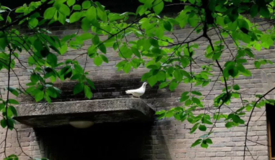 我就是这样的图片 我就是这样