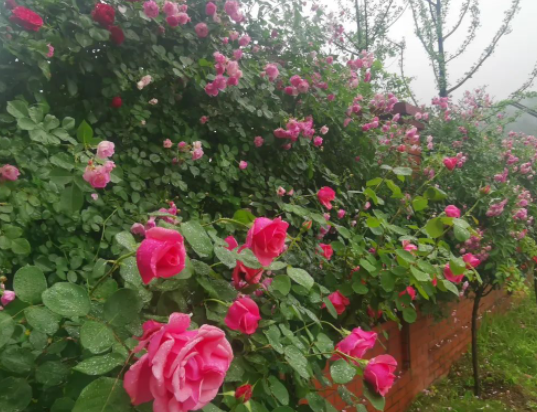 寻觅宁静，给生命留下余地