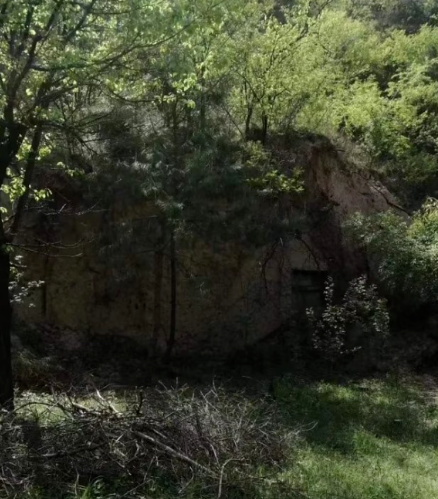 那天，父亲的照片笑了