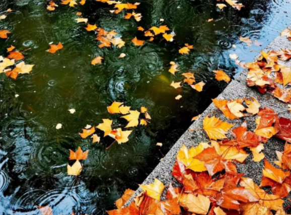 回眸——我的那些年的图片 回眸——我的那些年