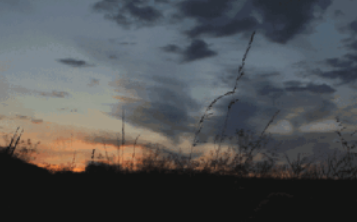 7个月了，一句话都没有说过