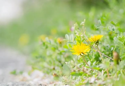 波光粼粼地一片,真是一幅难得的唯美画面。的图片 波光粼粼地一片,真是一幅难得的唯美画面。