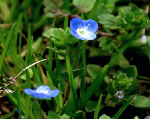 读《我们都是追星星的孩子》所感的图片 读《我们都是追星星的孩子》所感