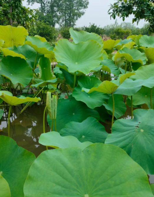 对一切怀有敬畏之心
