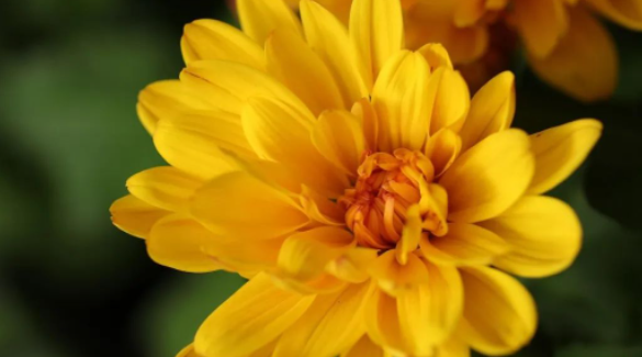 追念我远去的父母的图片 追念我远去的父母