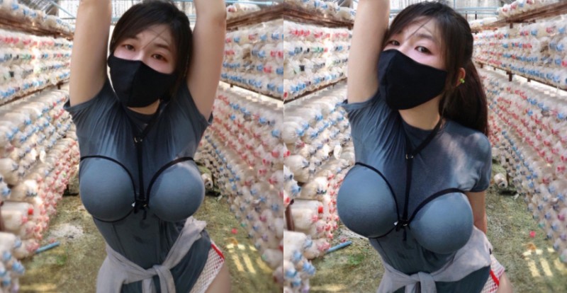 泰國「巨乳農村婦」穿限制級工作服上工　渾圓形狀讓人看傻眼