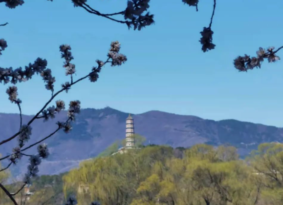 风雨过后的图片 风雨过后