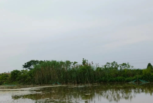 今夕何夕的图片 今夕何夕