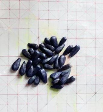 是我的独一无二啊的图片 是我的独一无二啊