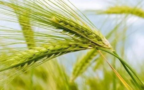 我的记忆应该没有出错的图片 我的记忆应该没有出错