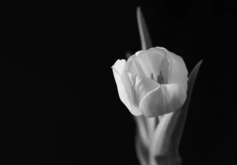 自从有了网络,我才知道世间险恶的图片 自从有了网络,我才知道世间险恶