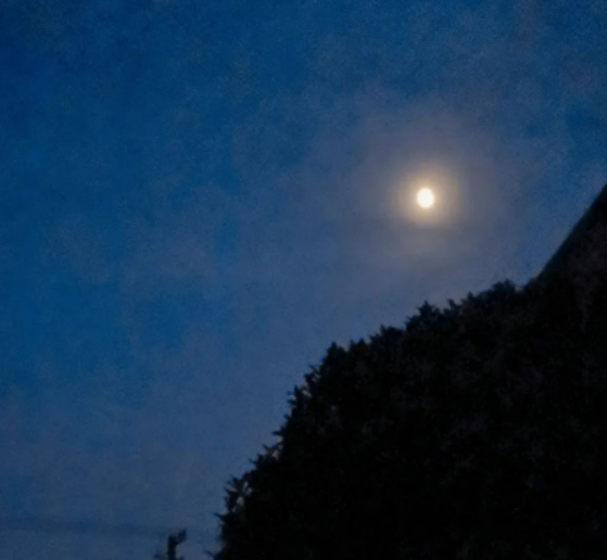 麦田上那弯月亮