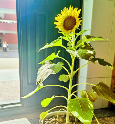 所见,即美的图片 所见,即美