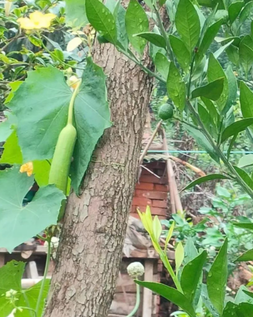 写给女儿14岁生日的一封信的图片 写给女儿14岁生日的一封信