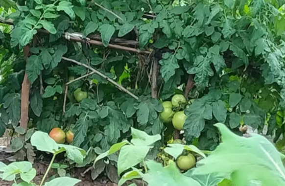 有一部分痛苦,比幸福具有更多意义的图片 有一部分痛苦,比幸福具有更多意义