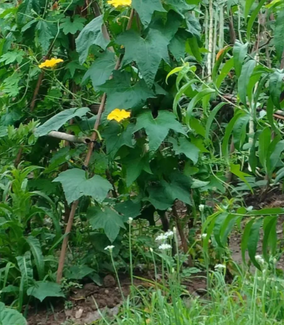 一定配得上你这一生的图片 一定配得上你这一生