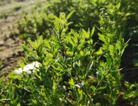 你是否借钱给别人,借出了个仇人?的图片 你是否借钱给别人,借出了个仇人?