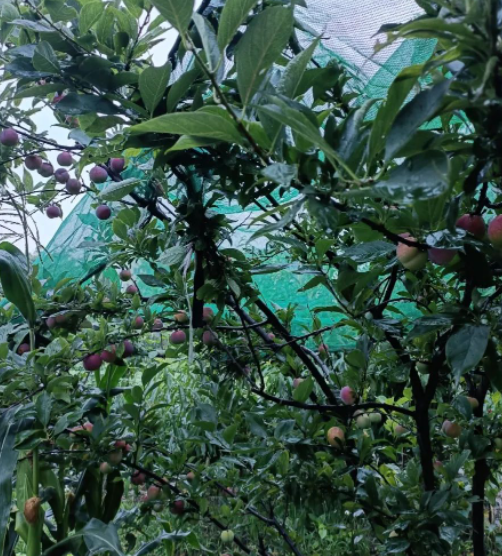 一次都没有回头