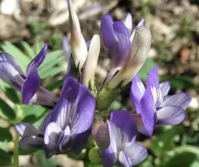 “三人行必有我师”的下一句,才是精髓!的图片 “三人行必有我师”的下一句,才是精髓!