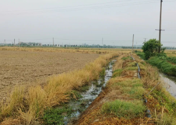 “东圩埂”当是中国乡村一个记忆符号的图片 “东圩埂”当是中国乡村一个记忆符号