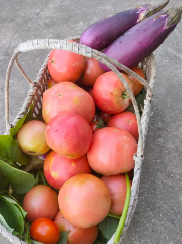 的图片 小暑,你好