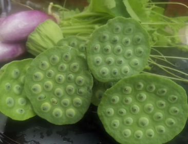 请别到我的园子里来&#8230;&#8230;