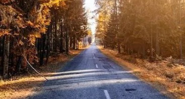 毋庸置疑,在往后的工作和生活中,认真仔细将是我一直该秉持的人生态度。的图片 毋庸置疑,在往后的工作和生活中,认真仔细将是我一直该秉持的人生态度。