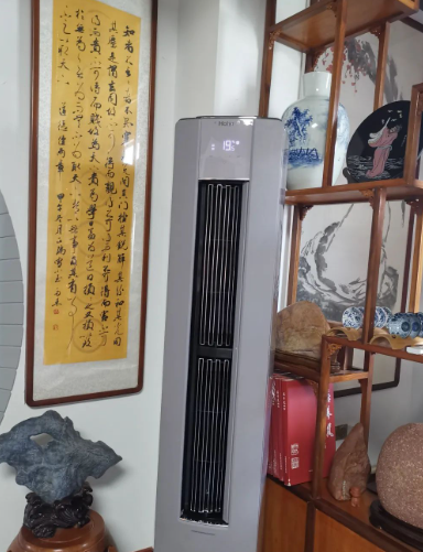 养猫养狗也养自己的孩子的图片 养猫养狗也养自己的孩子