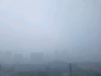 伏中记二三的图片 伏中记二三