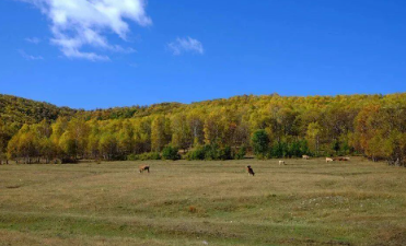 家乡的那些人和事儿——老安头儿