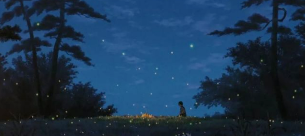 夏夜的风的图片 夏夜的风