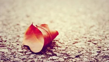 不该缺失的一堂课–生命教育的图片 不该缺失的一堂课–生命教育