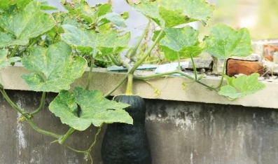 妈妈就是这样子