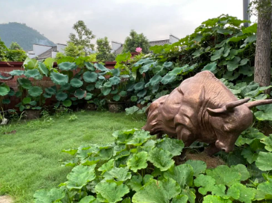 谁在问桑麻,哪个管收成?的图片 谁在问桑麻,哪个管收成?