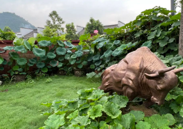 谁在问桑麻，哪个管收成？