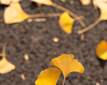 工作不离生活,生活才是目的的图片 工作不离生活,生活才是目的