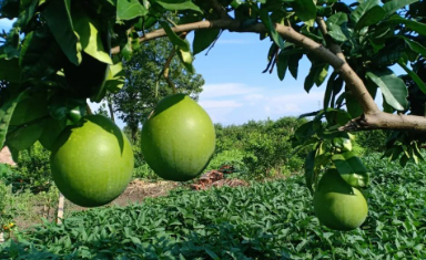 学生习作之邓玉辉的图片 学生习作之邓玉辉