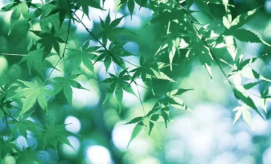 八月六日，无主题记录