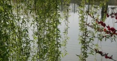 “变得聪明“与”吊劲儿派“的图片 “变得聪明“与”吊劲儿派“