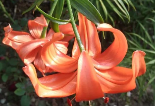 善者不辩!成天争辩的人绝非善类!的图片 善者不辩!成天争辩的人绝非善类!