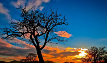 荷叶塘的童年乐趣