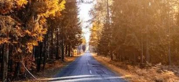 天落下丝丝小雨,缓缓的,意犹未尽!的图片 天落下丝丝小雨,缓缓的,意犹未尽!