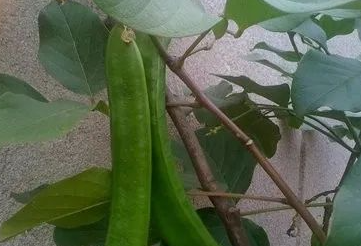 秋风阵阵,刀光剑影,生命无常,尘归尘土归土,这便是宿命。的图片 秋风阵阵,刀光剑影,生命无常,尘归尘土归土,这便是宿命。