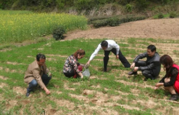 江塝茗园的图片 江塝茗园