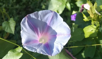 被误读的“一方水土养一方人”的图片 被误读的“一方水土养一方人”