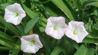 人生五不笑：第一条是“不笑天灾”！