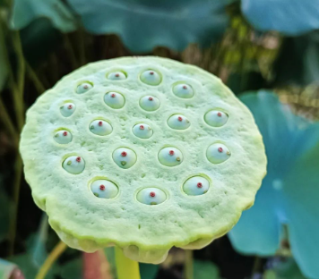 别有一番滋味上心头