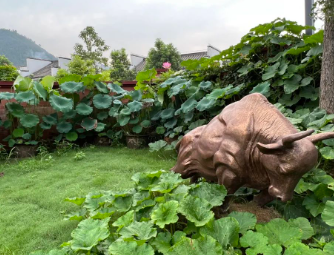 崖上的桃花、山间的松树的图片 崖上的桃花、山间的松树