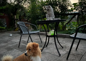 旧人入梦来的图片 旧人入梦来