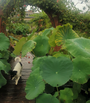 金子再值钱，也没有人有价值